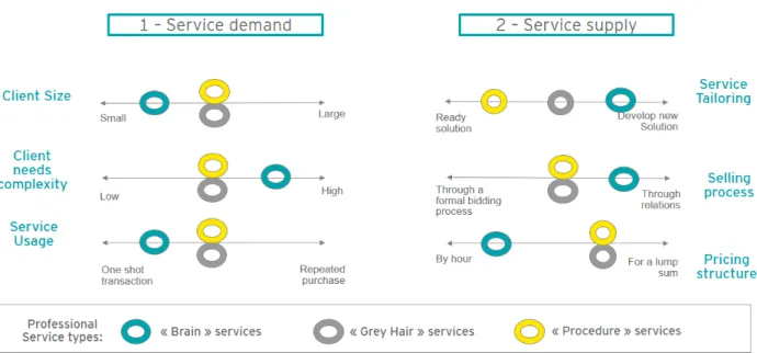 Figure 5: Main professional services types.