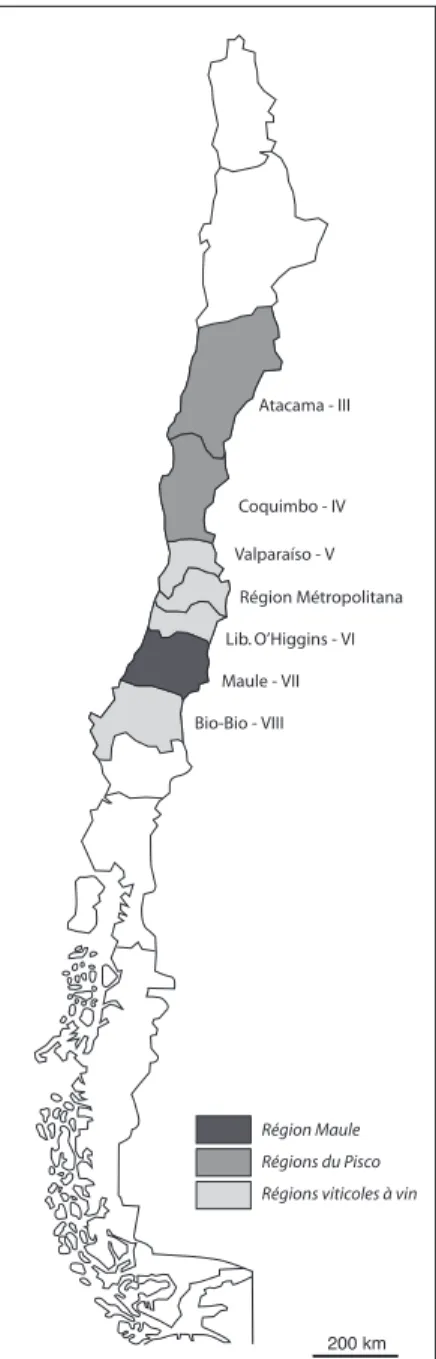 Figure 1 – Les régions viticoles au Chili. 