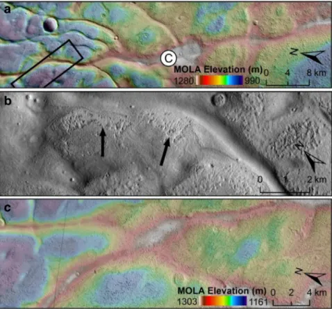 Fig. 6. Illustrations of the inﬂuence of the textured mantling deposit upon ridges within the study area