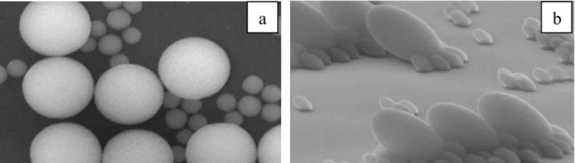 Figure I.10 : images MEB de colloïdes de silice avant (a) et après (b) irradiation, à  85 K, par 4 MeV Xe à une fluence de 3x10 14  cm -2 , à 45° par rapport à la normale à  la surface [81-82]