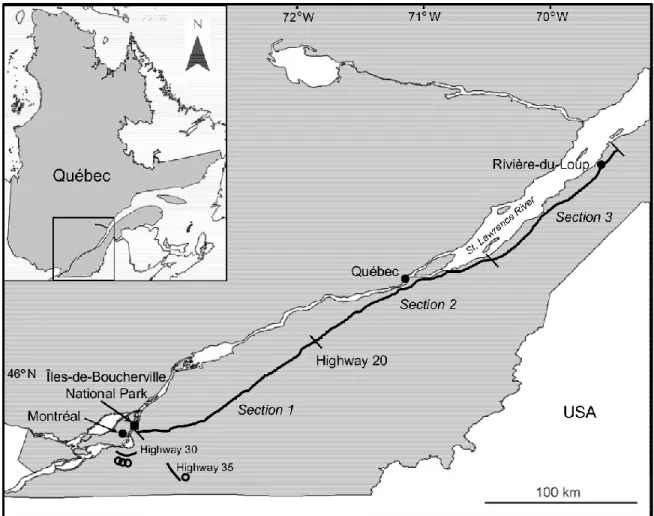 Figure 2.1. Location of the sites sampled in southern Quebec (Canada) for the evaluation  of  the  genetic  diversity  of  common  reed  (Phragmites  australis)  stands  :  Highway  20  (black  line)  and  Îles-de-Boucherville  National  Park  (black  squa