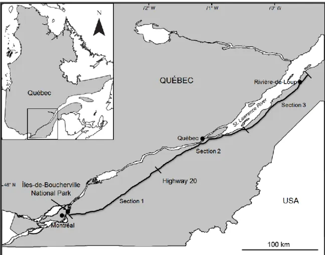 Figure 3.1. Location of the sites sampled in southern Quebec (Canada) for the evaluation  of  the  genetic  diversity  of  common  reed  (Phragmites  australis)  stands  :  Highway  20  (black  line)  and  Îles-de-Boucherville  National  Park  (black  squa