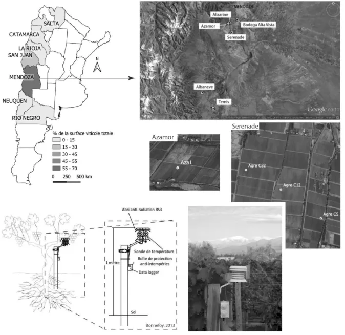 Figure 2 : Localisation des vignobles de la bodega  Alta Vista et des postes de mesures  / Location of the bodega  Alta Vista  vineyards and weather stations (data sources: Google Earth, Instituto Nacional de Vitivinicultura) 