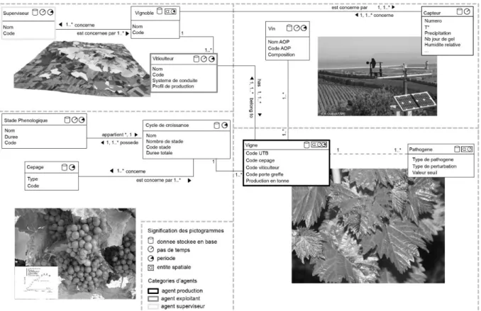 Figure 3 : Architecture du modèle DAHU-Vigne-AV / Framework of DAHU-Vigne-AV model 