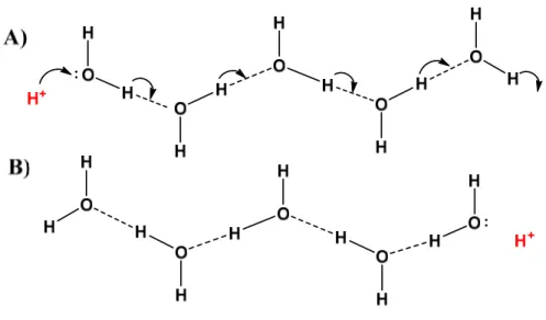 Figure 1-2. Illustration schématique du mécanisme de Grotthuss. Le proton est transféré à travers le réseau de  ponts hydrogène (lignes pointillées) par sauts successifs à travers les molécules d’eau
