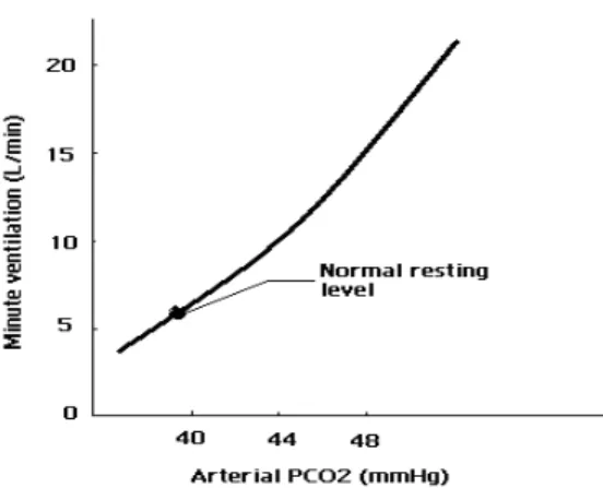 Figure 3 : Les effets d’une augmentation de PCO 2  artérielle sur le volume de  respiration