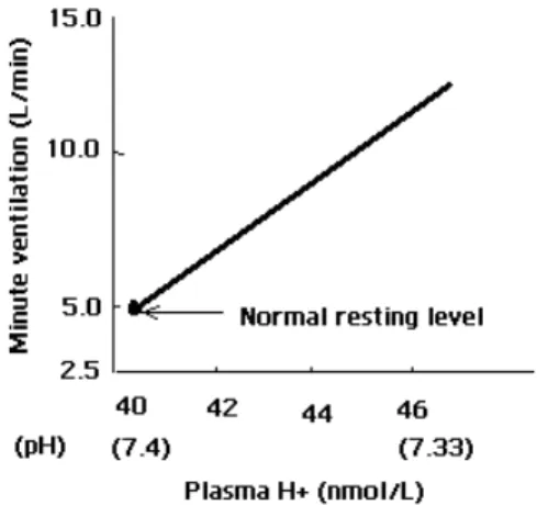 Figure 4 : Les changements dans le volume de ventilation en réponse a une élévation  de la concentration d’ions d’hydrogène dans le plasma, produit par l’administration 