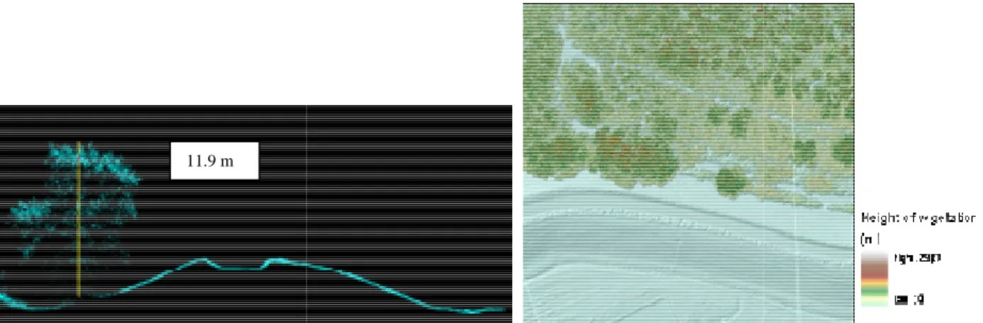 Figure 2  : Caractérisation en coupe et en plan de la végétation de bord de digue à l’aide des o (source : projet FloodProBE, site pilote du Val d’Orléans)