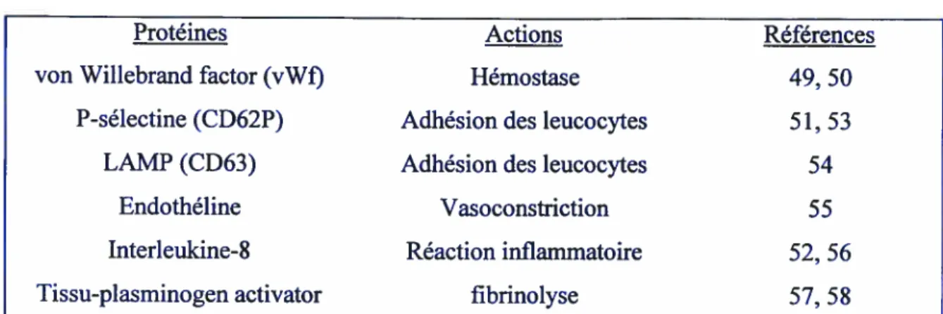 Tableau 1: Résumé des principales molécules retrouvées dans les corps de WP et qui seront secrétées ou transioquées lors d’un stimulus approprié