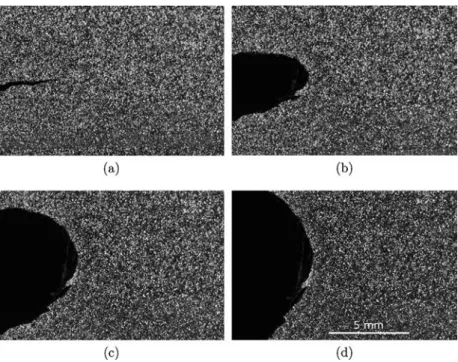 Fig. 2. Acquisition of images on a cracked sample of NR50 at different levels of extension for DIC analysis: (a) k ¼ 1, (b) k ¼ 1:31, (c) k ¼ 1:67, (d) k ¼ 1:92.