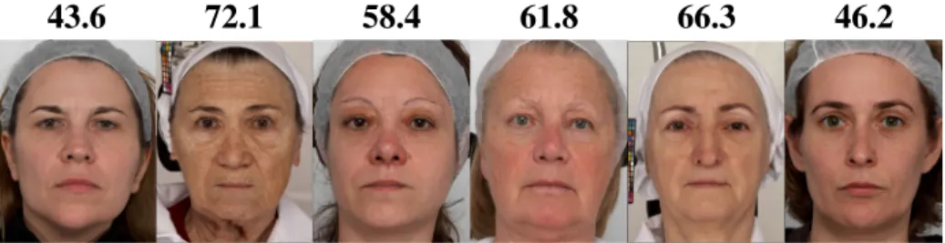 Fig. 12 A subsample of our database with their corresponding perceived ages