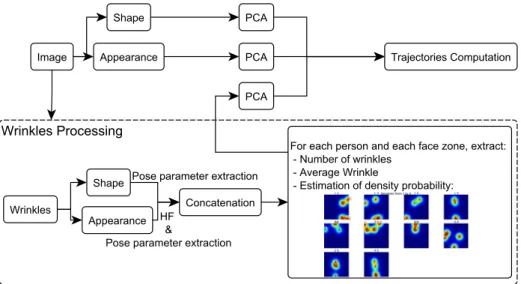 Fig. 2 Wrinkle Oriented AAM Scheme