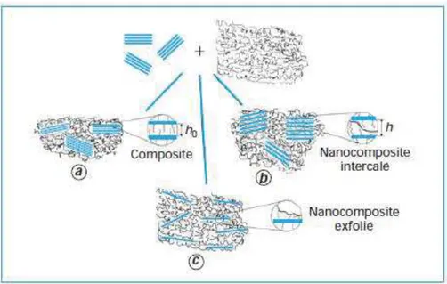 Figure  I.  16  :  Différentes  structures  de  nanocomposites  en  comparaison  avec  les  microcomposites