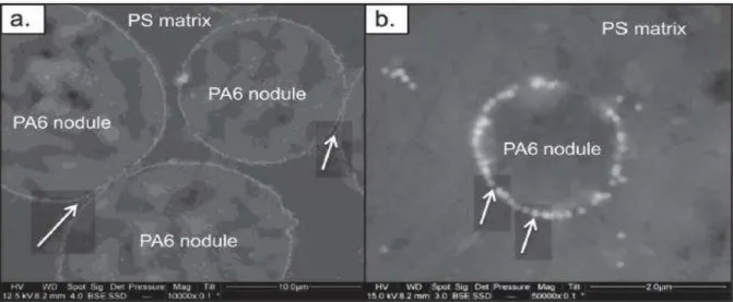Figure I. 19 : Observations au MEB de la barrière physique composée de nanoparticules de  silices modifiées dans un mélange PS/PA6 (80/20)