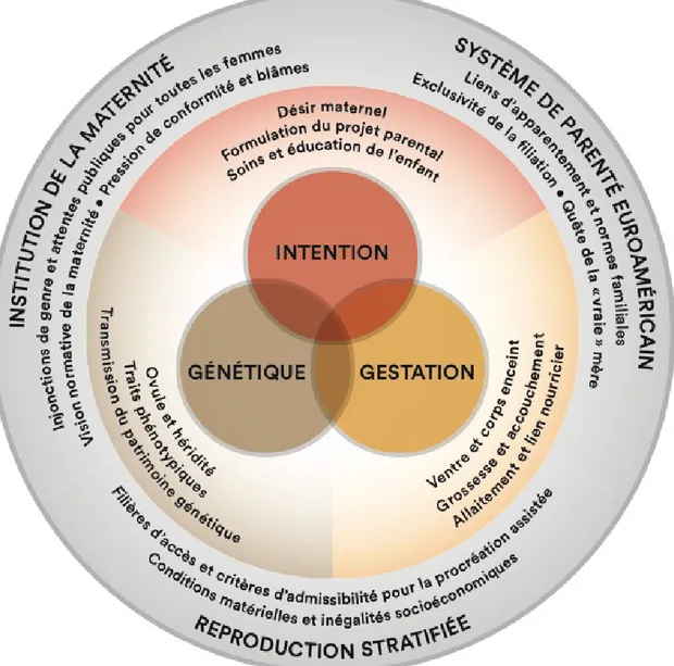 Figure 3.  Maternités assistées et axes de structuration sociale 