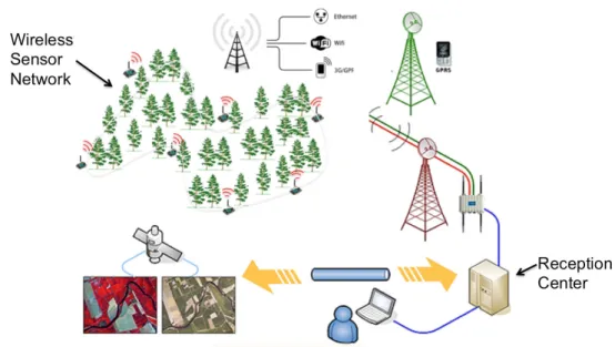 Figure 2.1 – Environmental monitoring wireless sensor network [98])