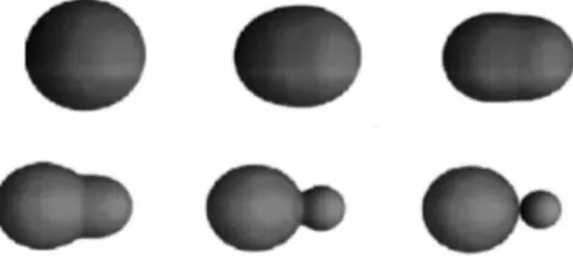 Fig. 1. Selected shape sequence to simulate the one-body shape evolution (for a given asymmetry)