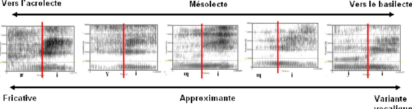 Figure  1  –  Différentes  réalisations  du  /r/  français  en  Guadeloupe  en  fonction  de  l’appartenance  lectale  du  locuteur (acrolecte, mésolecte ou basilecte)