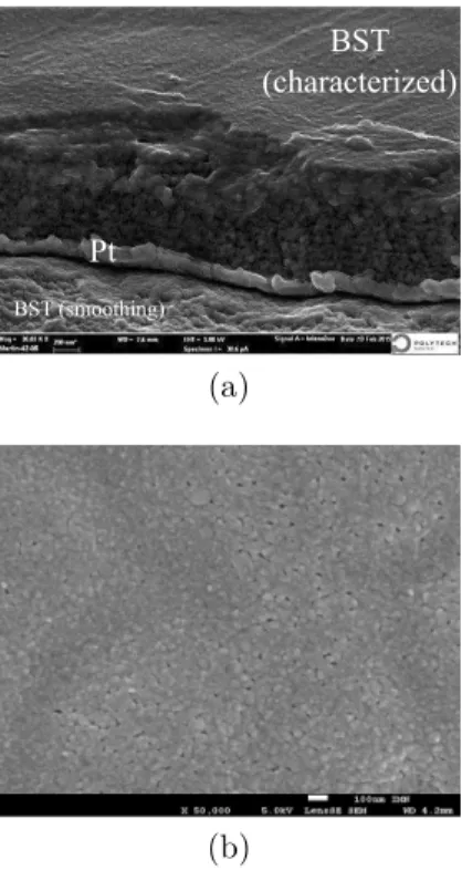 Figure 1: Cross section (a) and surface (b) SEM micrograph of the deposited thin film.