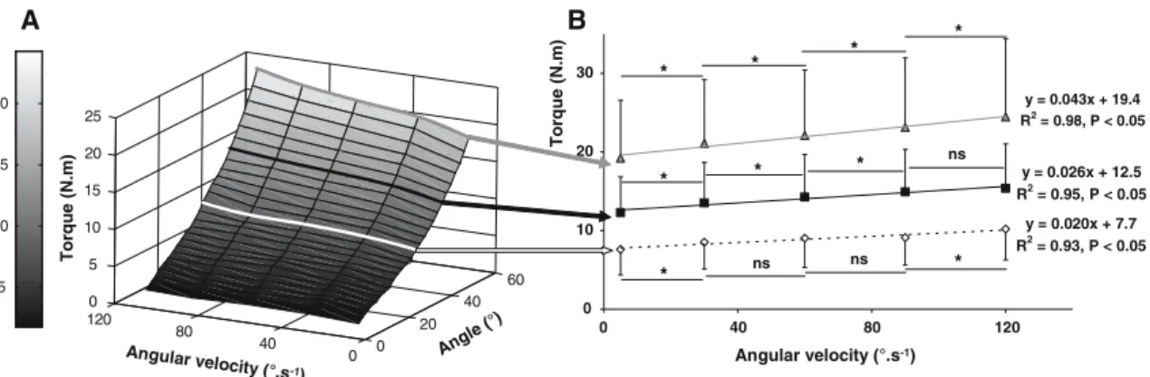Fig. 4 a Averaged torque-angle-angular velocity relationship. b Mean torque-angular velocity relationships determined at 28° (diamond), 40°