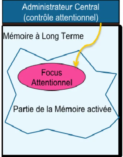 Figure 1. Modèle unitaire de la Mémoire de Cowan (2000). 