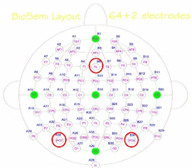 Figure 4. Système International 10/20 BioSemi, montage de 64 électrodes et topographie  PO7/PO8 et Fz