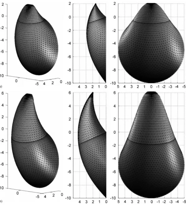 Figure 10. Views of the critical collapse mechanisms when D = 10 m and = 18 kN / m 3 : (a)  = 30 ◦ and c = 0 kPa and (b)  = 17 ◦ and c = 7 kPa.