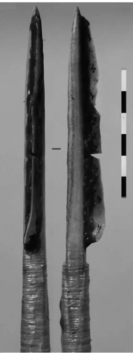 Figure 1 - Armature de l’une des sagaies utilisées lors des tirs. 