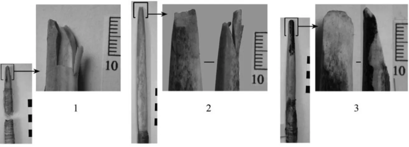 Figure 3 - Exemples de fractures en languette expérimentales de grande ampleur (toutes correspondent à des tirs  manqués