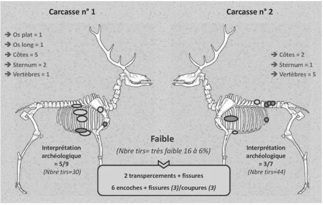 Figure 3  –  Régions  squelettiques  et  stigmates  interprétable  archéologiquement  comme  des  impacts  de  projectiles