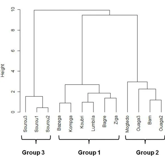Figure 2.2. Hierarchical classification of study sites related to their trace element  concentrations