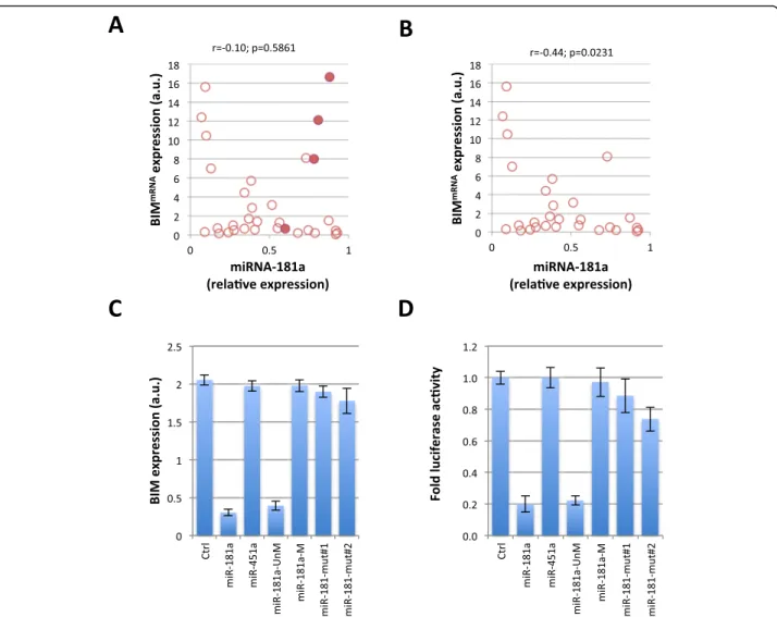 Fig. 3 Cytosine-Methylated miRNA-181a-5p loses its repressor function. a Correlation study between miRNA-181a-5p and BIM protein expression determined in a cohort of 32 GBM samples