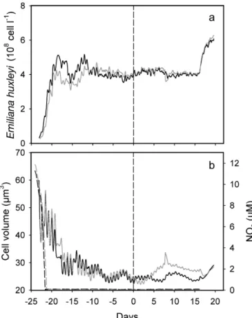 Fig. 2. Emiliania huxleyi. Time change in (a) cell concentra- concentra-tion, and (b) mean cell volume (continuous lines) and NO 3  con-centration (dashed lines) in LL (grey lines) and LH (black lines) chemostats before and after pCO 2 shift in LH culture 