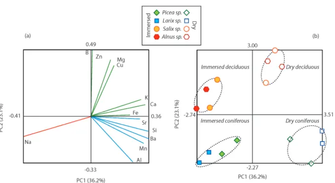 FIGURE 3.  Principal components analysis (PCA) scores from concentrations of 14 elements normalized to  the total cation concentrations for dry, immersed, and archaeological wood samples