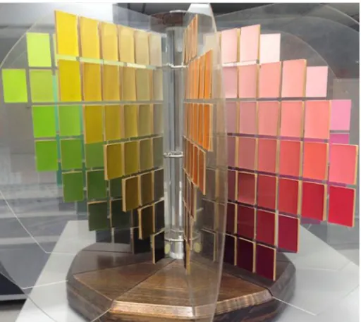 Figure 3-13: Munsell color tree representation with the branches representing each hue category from  (Munsell.COLOR, 2019, Larboulette, 2007) 