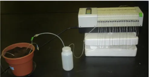 Figure 2.2 : Photographie du système de prélèvement de solutions par microlysimétrie. 