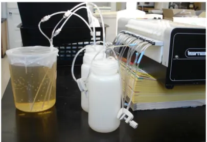 Figure 2.4. Échantillonnage en continu par microlysimétrie d’une solution initiale dont on connaît les  concentrations en métaux trace