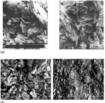 Fig. 2. Schematic illustration of clay clusters as grains