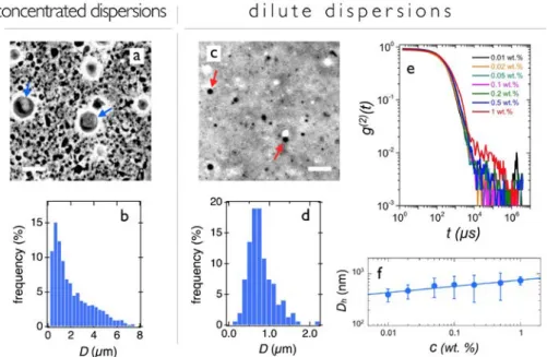 Figure   3:   TEQ   surfactant   dispersions   studied   by   phase-­‐contrast   microscopy   and   dynamic   light   scattering