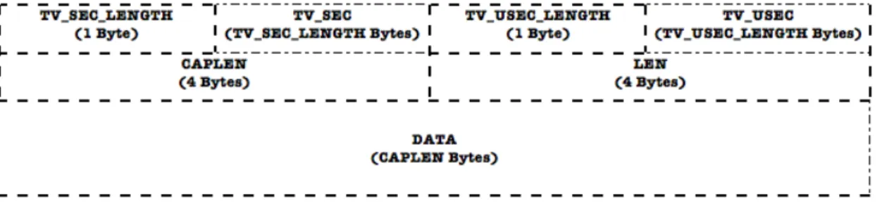 Figure 3.4: PCAP Over Network packet format