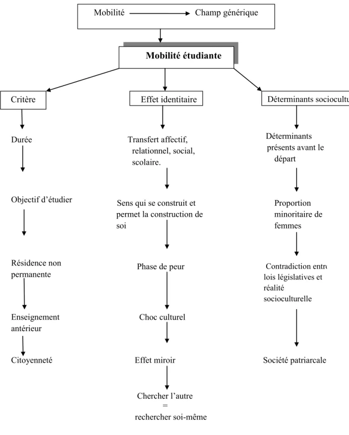 Figure 1 – synthétisation de la notion de « mobilité étudiante » 