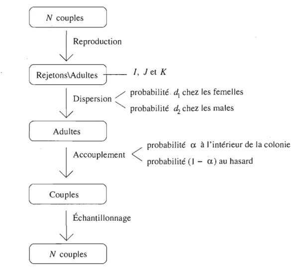 FIG.  2.1.  Modèle de dispersion avant accouplement 