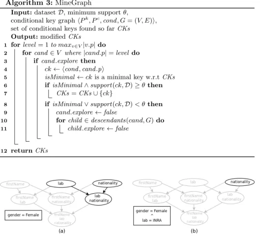 Fig. 2. (a) Keys of size 1 explored for the condition gender = F emale. (b) Example of a merged graph with condition {gender = F emale, lab = IN RA}