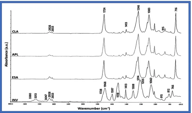 Figure 12 : Les spectres infrarouges d’absorbance de différentes marques de coquilles  (CLA : Clear Aligner, APL : Essix A+ Plastic, ESA : Essix ACE plastic, INV : Invisalign) 
