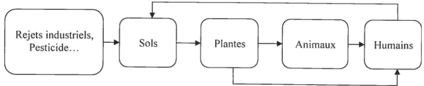 Figure 1-2 2 Cycle de vie des métaux