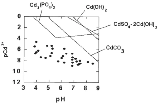 Figure 1-6 Equi1ibre de la solubilité minérale en solution de sol pour le