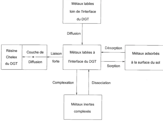 figure 1-10 : Représentation des différents flux imposés par le DGT