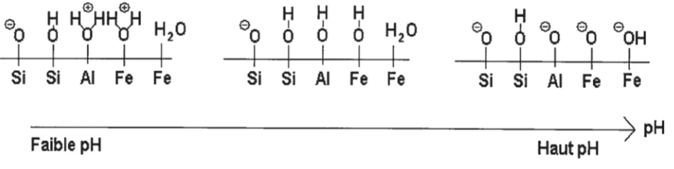 Figure 2-1 : Effet du pH sur la variation de la charge de surface d’un sol (10)