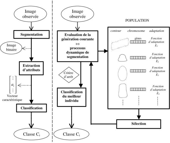 figure 5 : Segmentation orientée classification opposée au processus de segmentation classique séquentiel