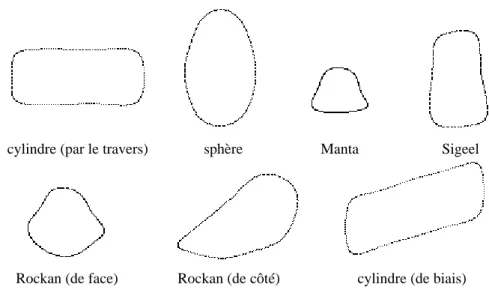 figure 8 : exemples d’individus de la population initiale : contours d’ombres acoustiques segmentées